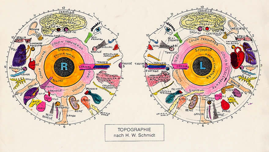 iridologia_map