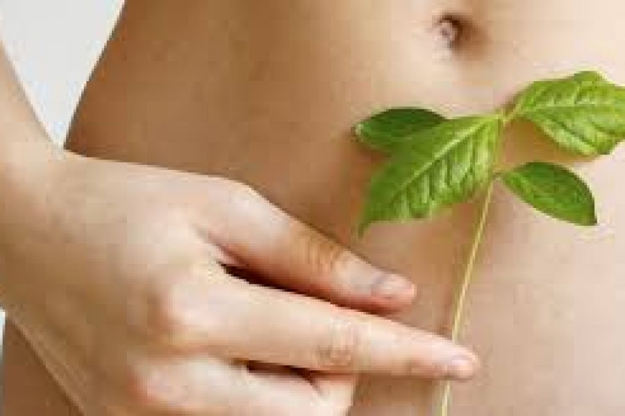 MICROBIOTA E SISTEMA IMMUNITARIO
